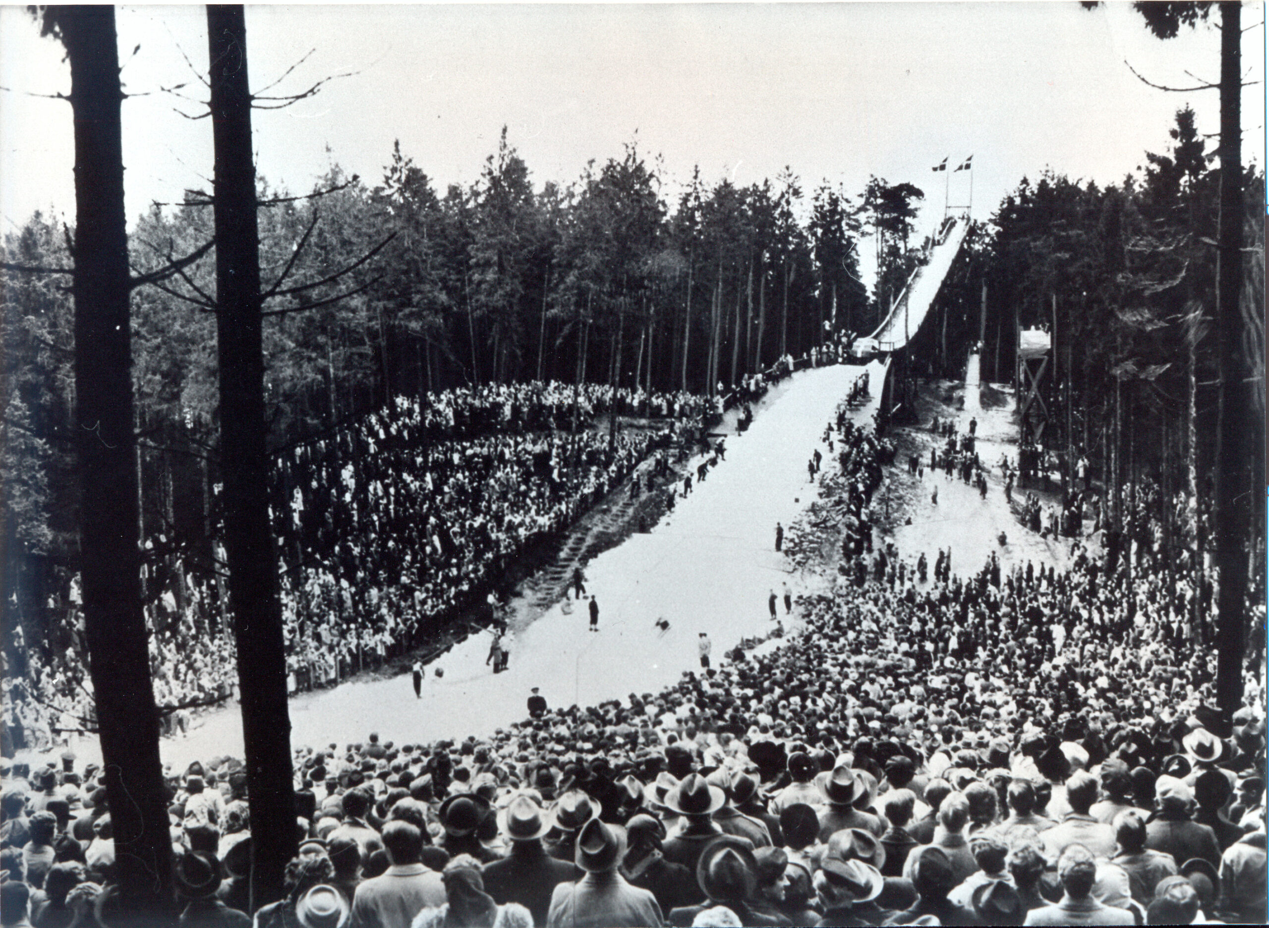 Skovvandring Holtekollen m.v.